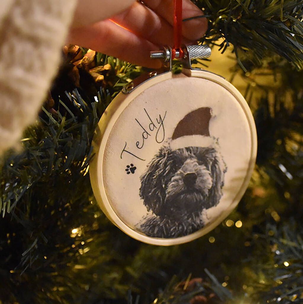 pet dec