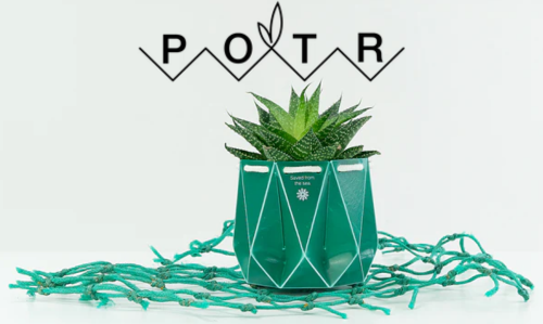 graphic of potr plants
