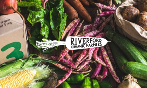 graphic for riverford logo