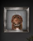 Framed Pet Pawtraits