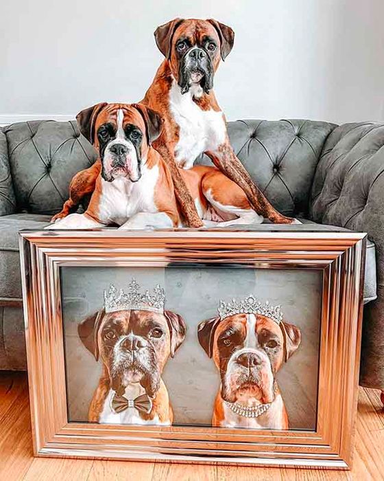 Pet Pawtraits