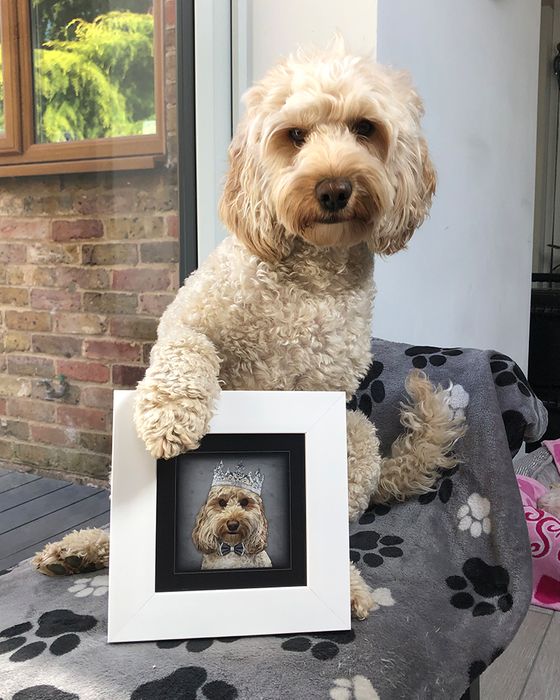 Pet Pawtraits