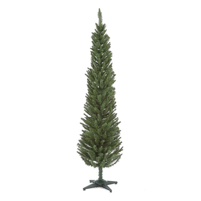 Norway Slim Pencil Pine Chirstmas Tree