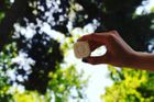 Natural Deodorant Bar - Unfragranced