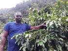 100% Pure Jamaica Blue Mountain Coffee  Beans and Ground