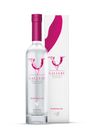 V Gallery Vodka