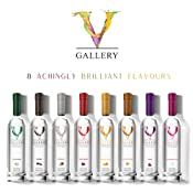 V Gallery Vodka