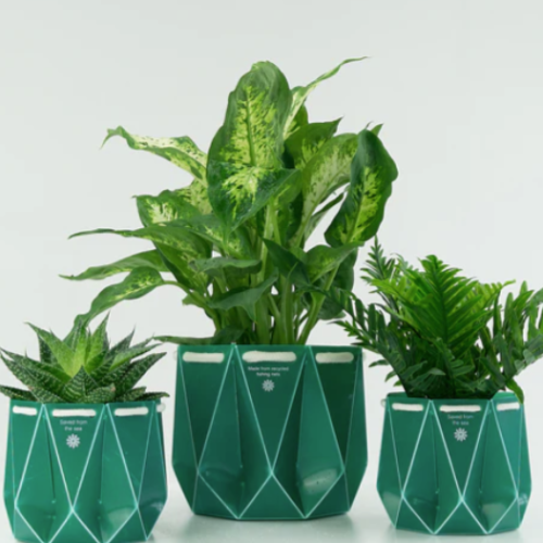 POTR Pots