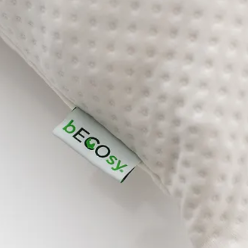  bECOsy 