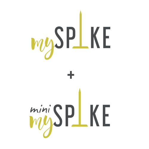 My Spike Ltd