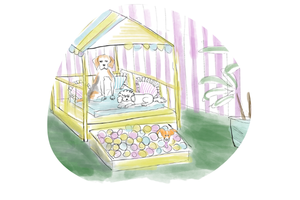Paws & Relax