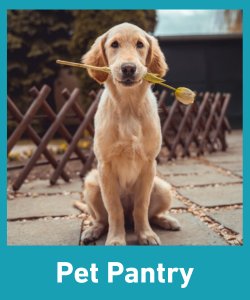 pets
