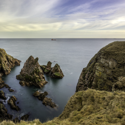 The Scottish Wildlife Trust