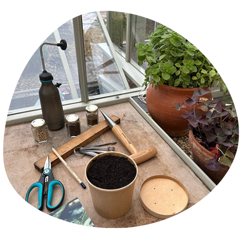 Grow Your Own Micro Herbs workshops