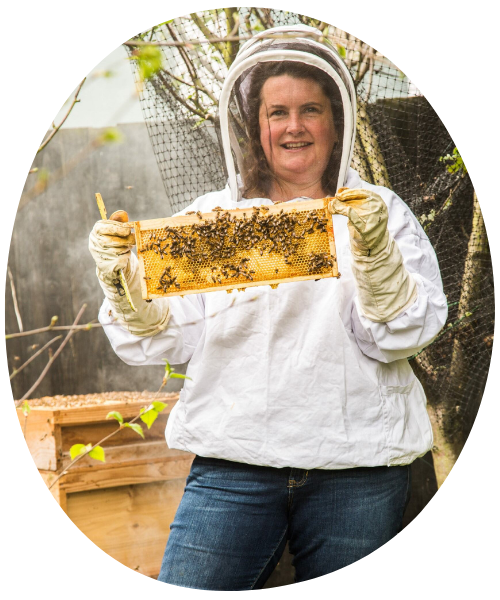 sara ward come on you bees