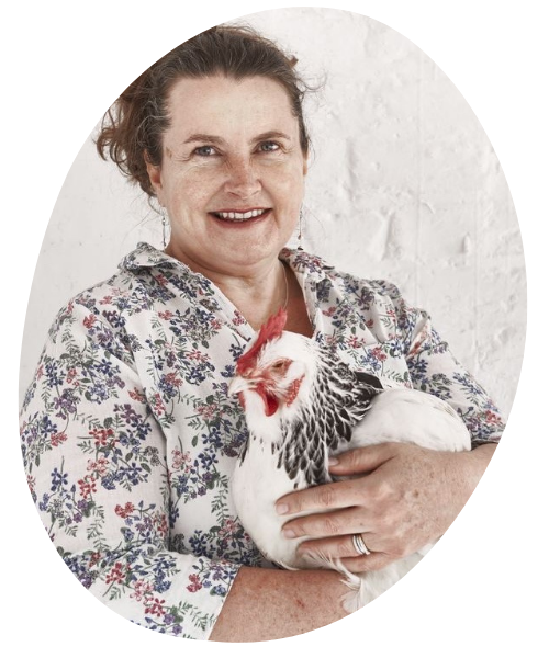 Sara Ward Hen Corner