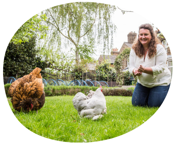 Sara Ward Urban hens