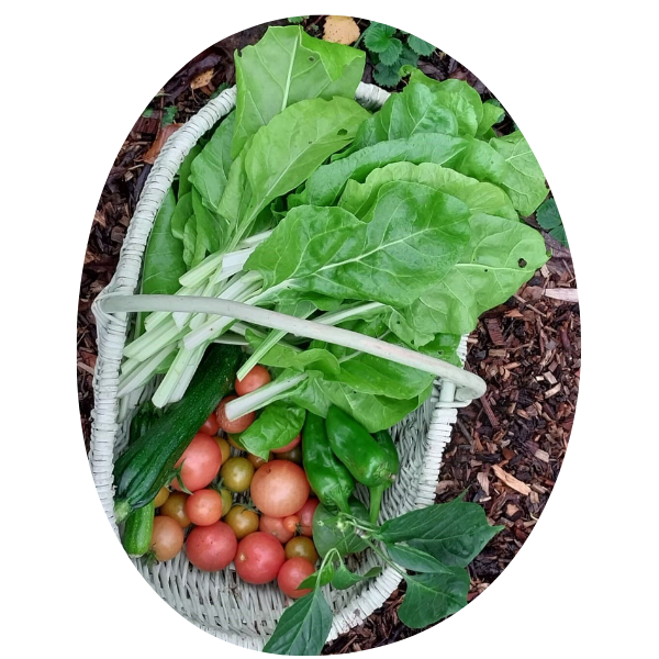 Home Grown Cultivate London