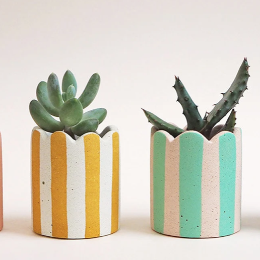 pimp your plant pot workshop