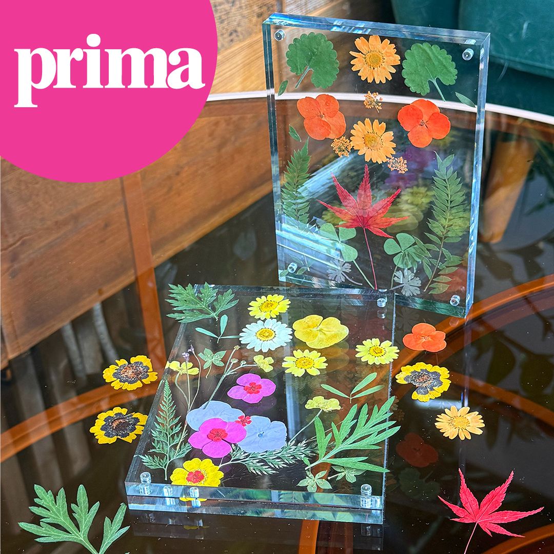 Prima dried flower art 
