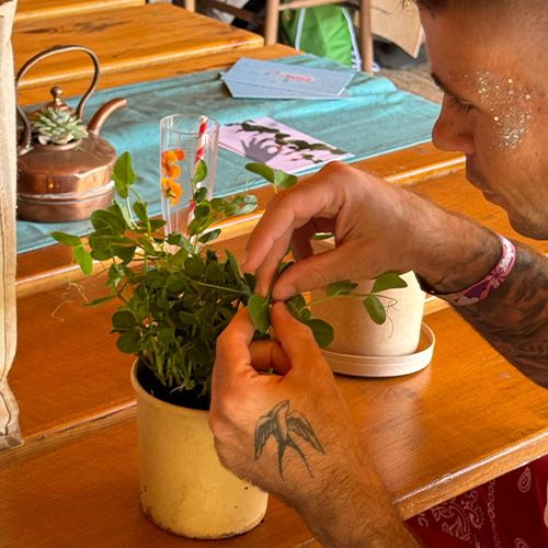 grow your own herbs workshop