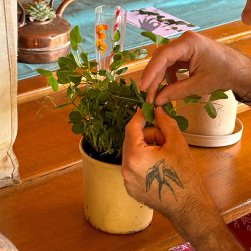 August Bernstein Plant your own happiness