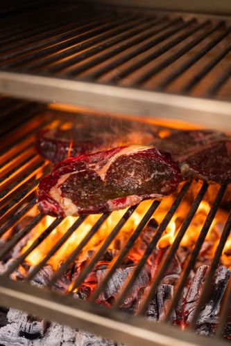 The Outdoor Cooking Revolution:  Why Charlie Oven is the Must- Have for 2025