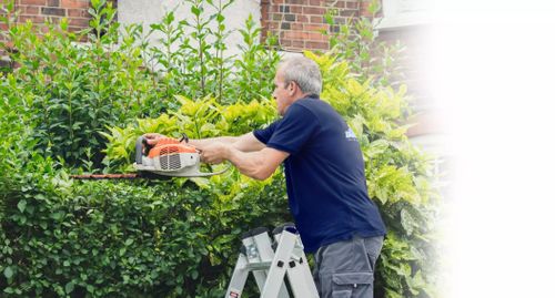 Gardening and Landscaping