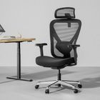 HINOMI Q1 Ergonomic Office Chair