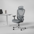 HINOMI Q1 Ergonomic Office Chair