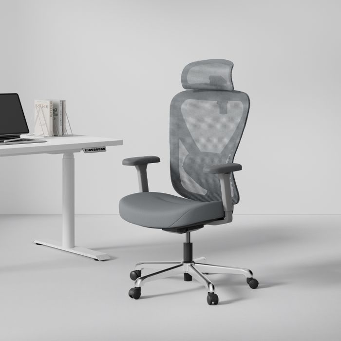 HINOMI Q1 Ergonomic Office Chair