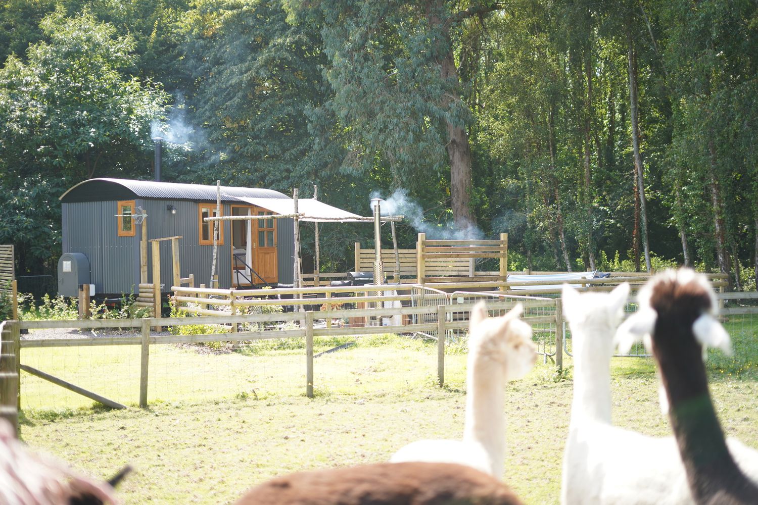 Stamford Shepherd Huts