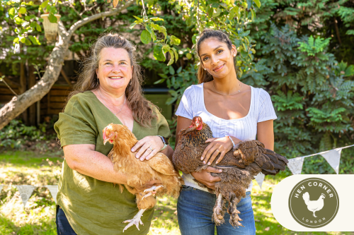 Homegrown Living: A Growing Trend in Homes and Gardens