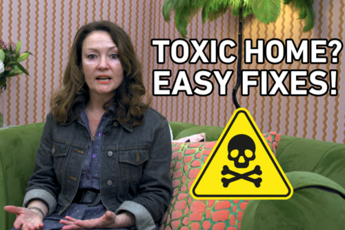 How To Detoxify Your House with Charlie Lemmer