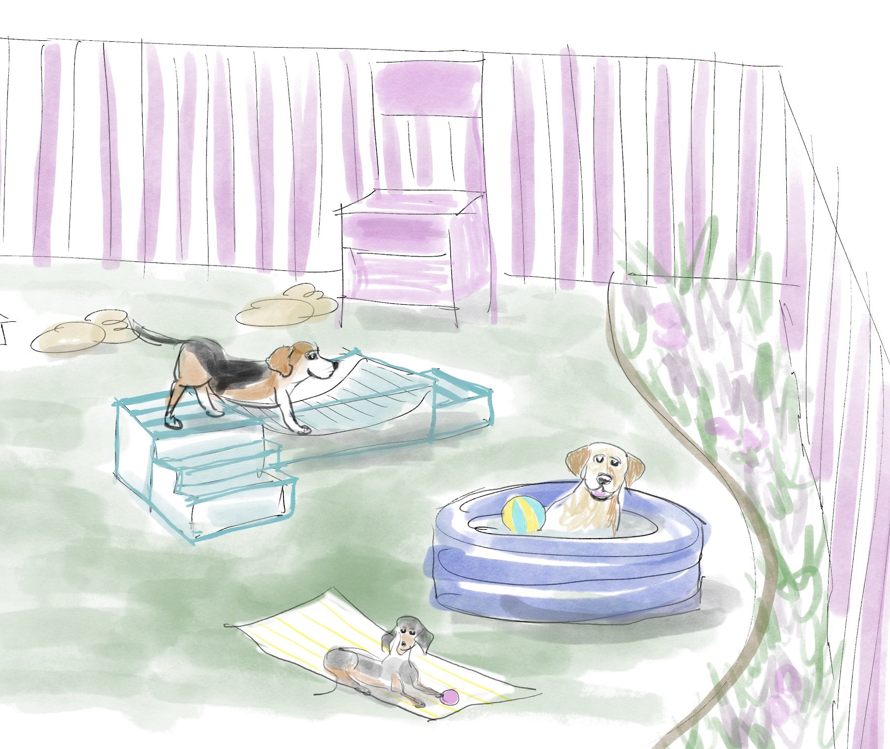 Doggie Gym