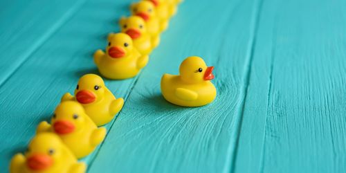 It’s time to put ALL your ducks in a row!