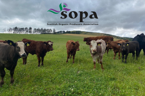 Scotland Grows Green: SOPA Champions a New Era for Organic Living
