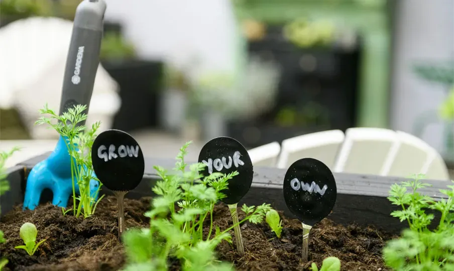 Grow your own inspired by Emmerdale 