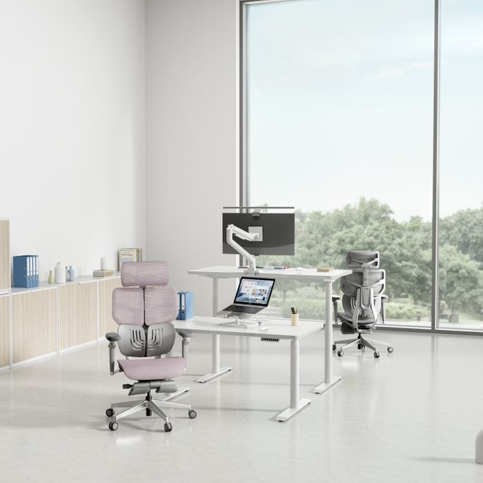 HINOMI X1 Ergonomic Chair: Robust Design, Supreme Comfort
