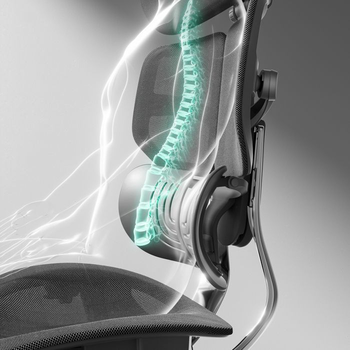 HINOMI X1 Ergonomic Chair: Robust Design, Supreme Comfort