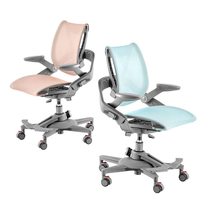 HINOMI Zee V2 Ergonomic Chair