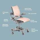 HINOMI Zee V2 Ergonomic Chair