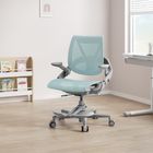 HINOMI Zee V2 Ergonomic Chair