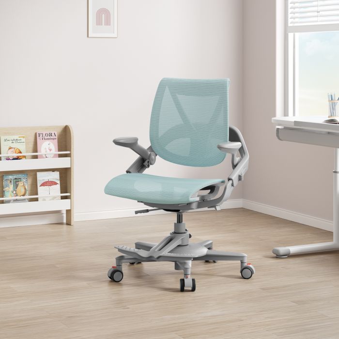 HINOMI Zee V2 Ergonomic Chair