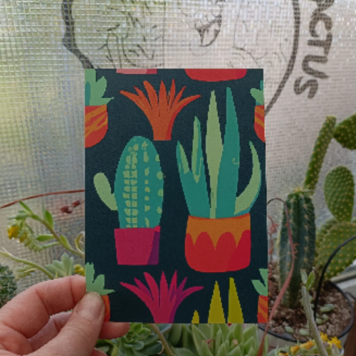 Crafts and Cactus
