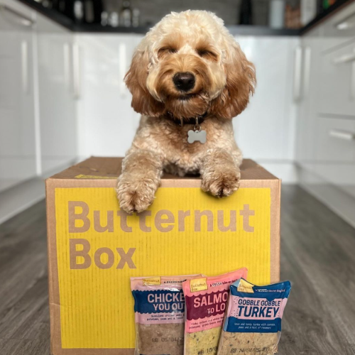 Butternut Box Ltd
