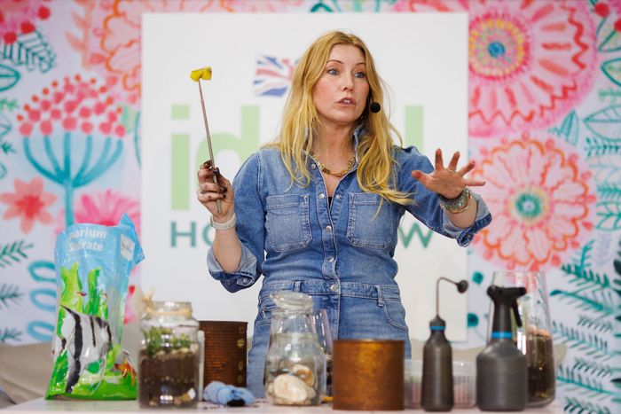 Free plant food - Lynne Lambourne's top tips