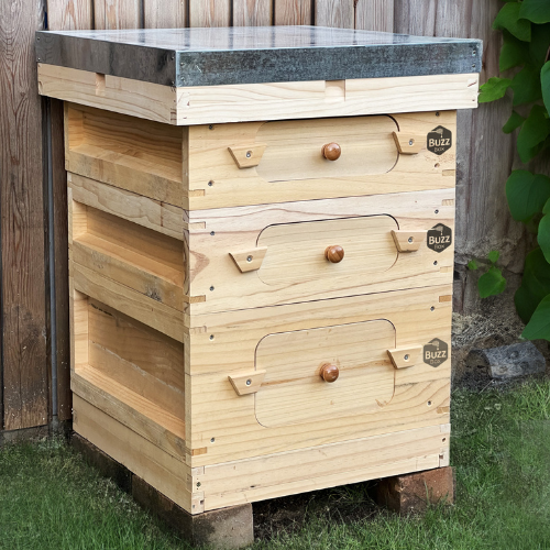 Buzz Box