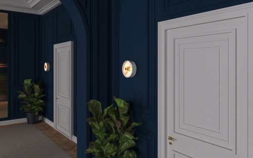 Continuity Concept Launch