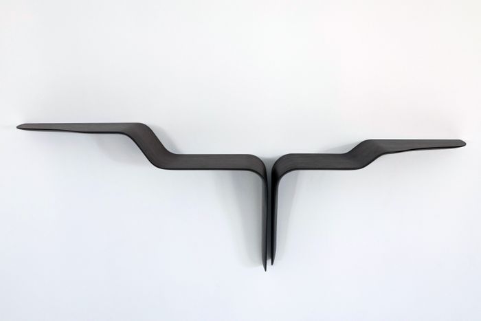 Conchiolin Shelf #1